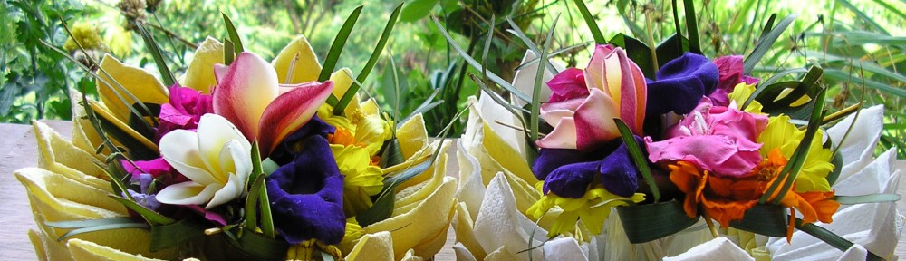 Autour du monde,    à 5