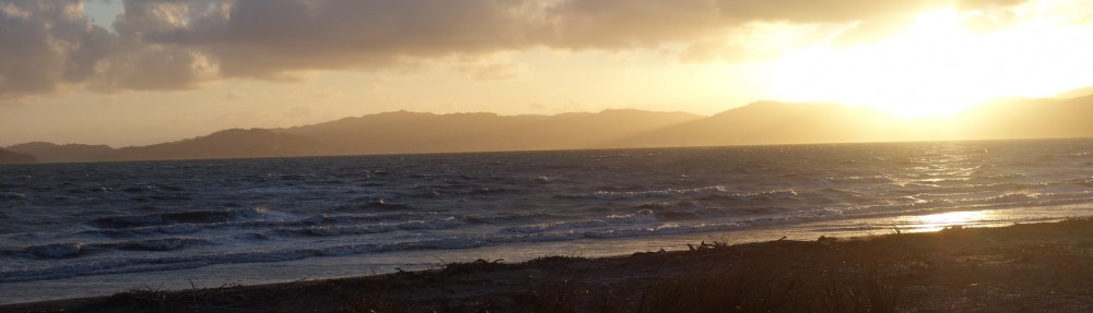 Autour du monde,    à 5