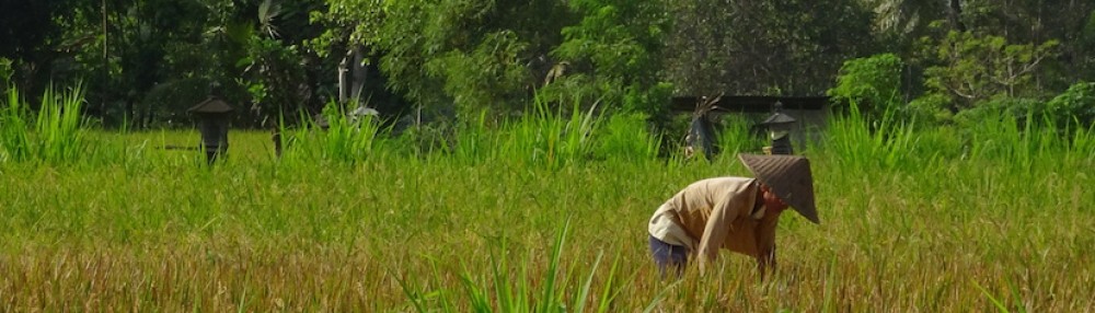Autour du monde,    à 5