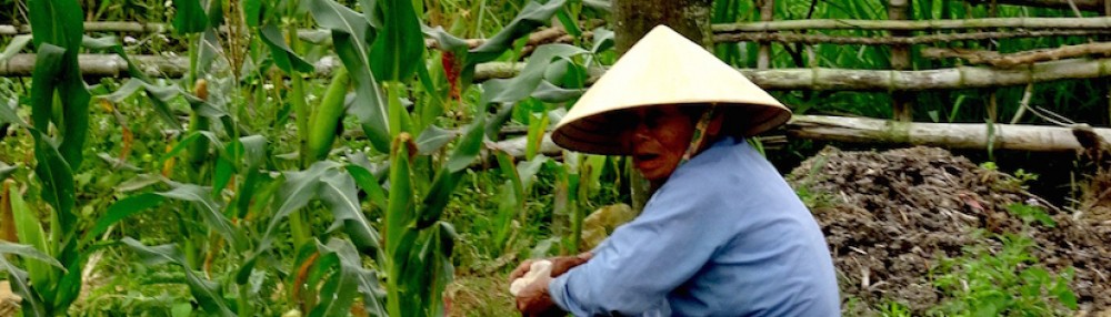 Autour du monde,    à 5