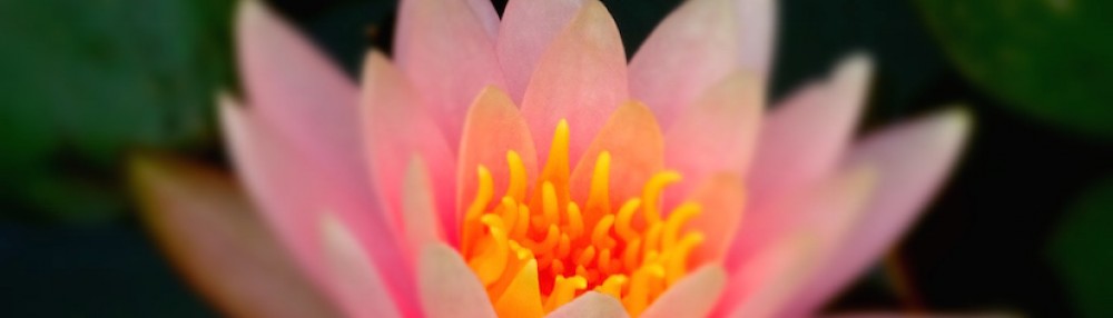 Autour du monde,    à 5